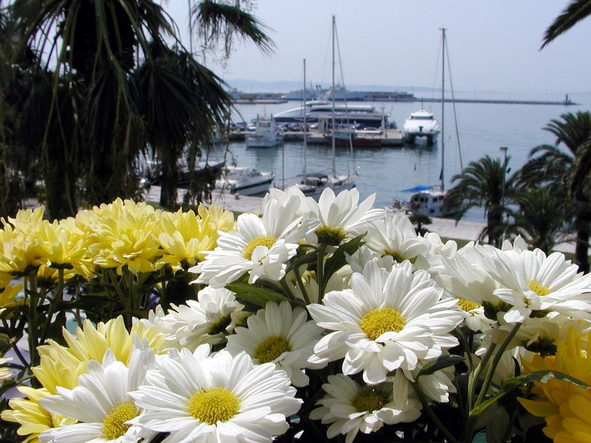 Apartament Speruna Luxury Split